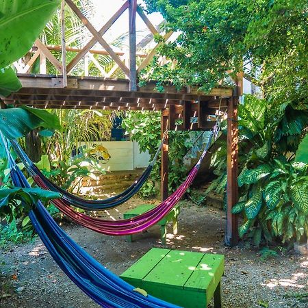 Ciao Cacao Hostel & Vegan Cafe 弗洛勒斯 外观 照片