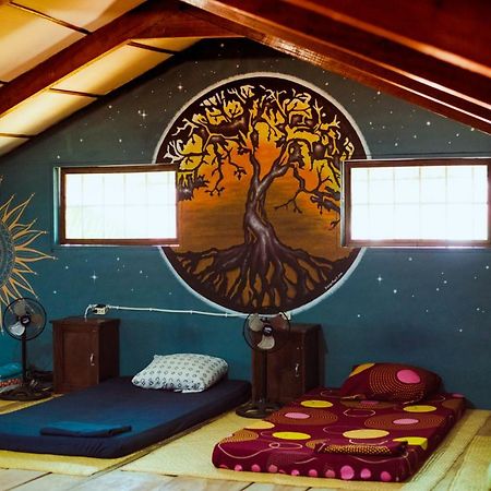 Ciao Cacao Hostel & Vegan Cafe 弗洛勒斯 外观 照片