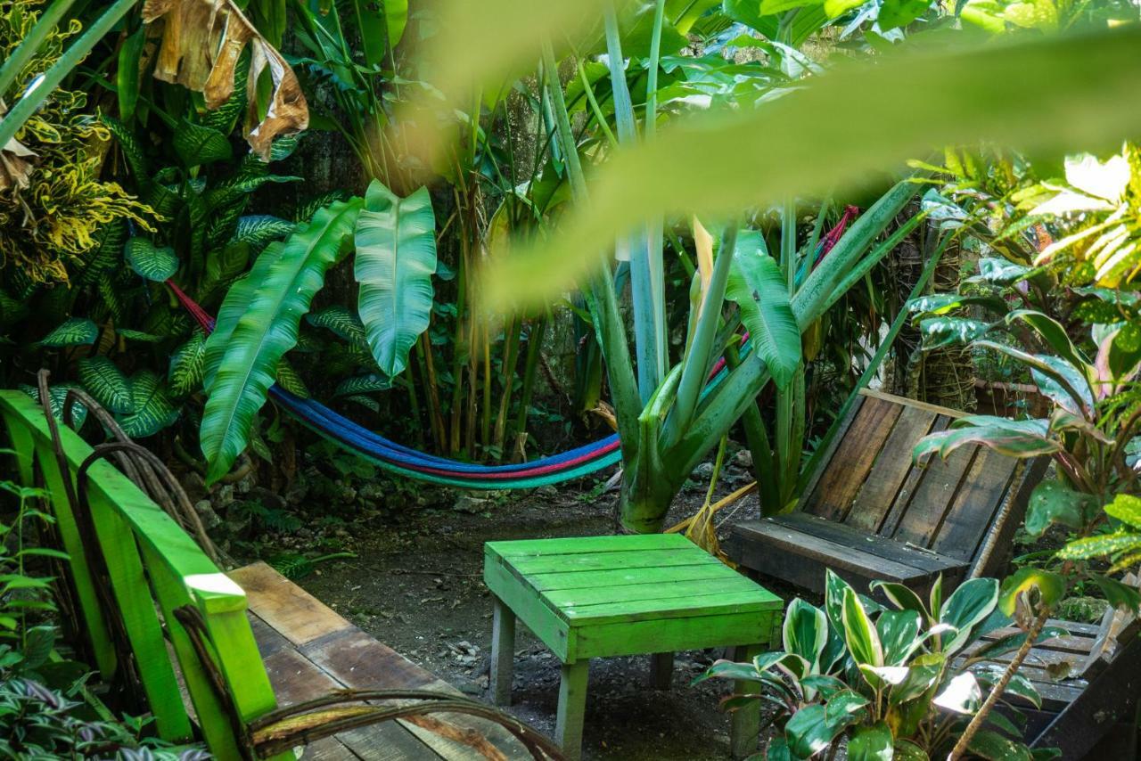 Ciao Cacao Hostel & Vegan Cafe 弗洛勒斯 外观 照片