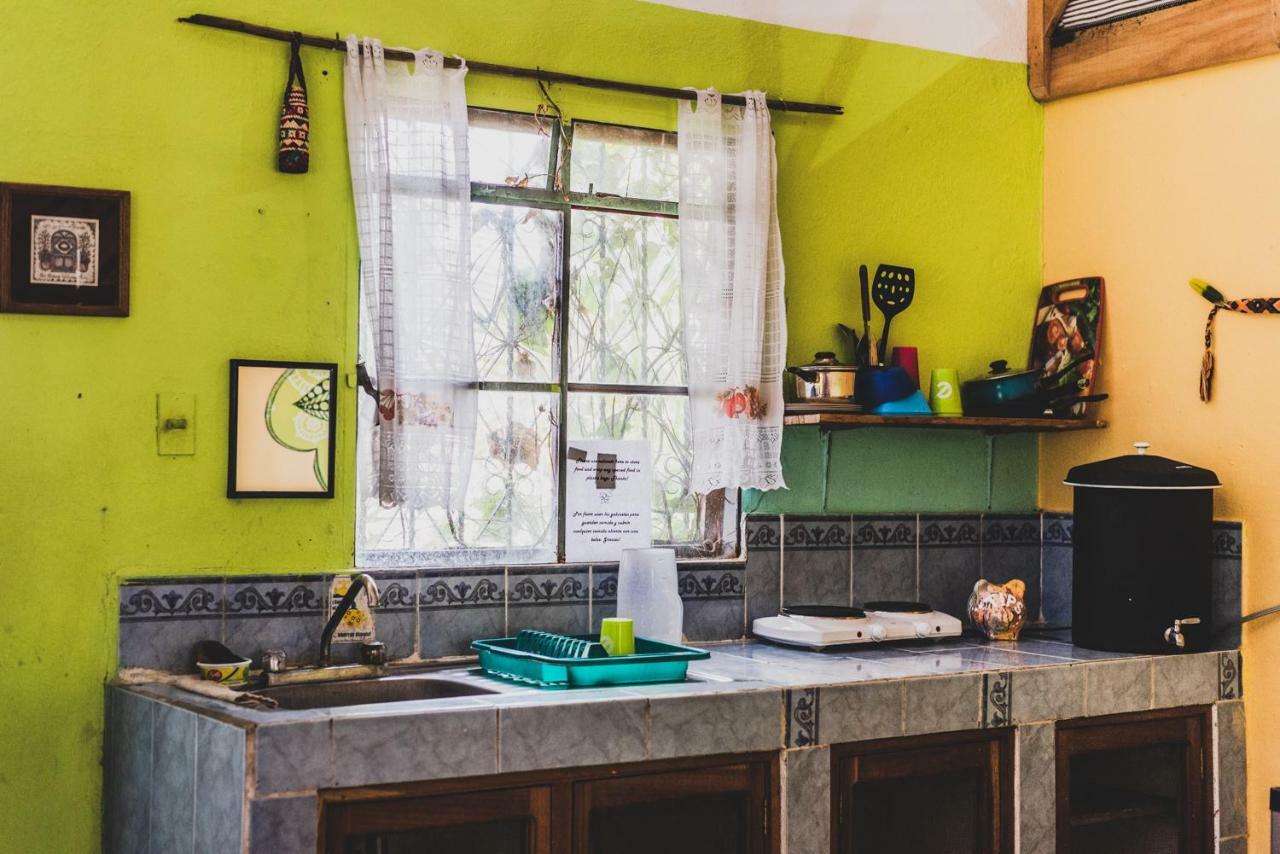 Ciao Cacao Hostel & Vegan Cafe 弗洛勒斯 外观 照片