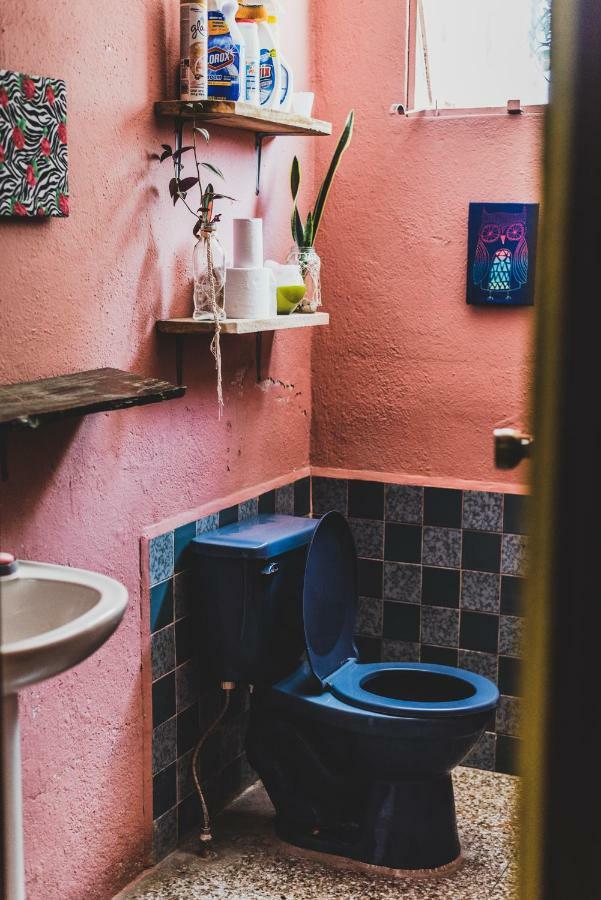 Ciao Cacao Hostel & Vegan Cafe 弗洛勒斯 外观 照片